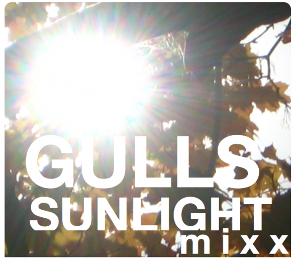 Gulls Sunlight Mix cover